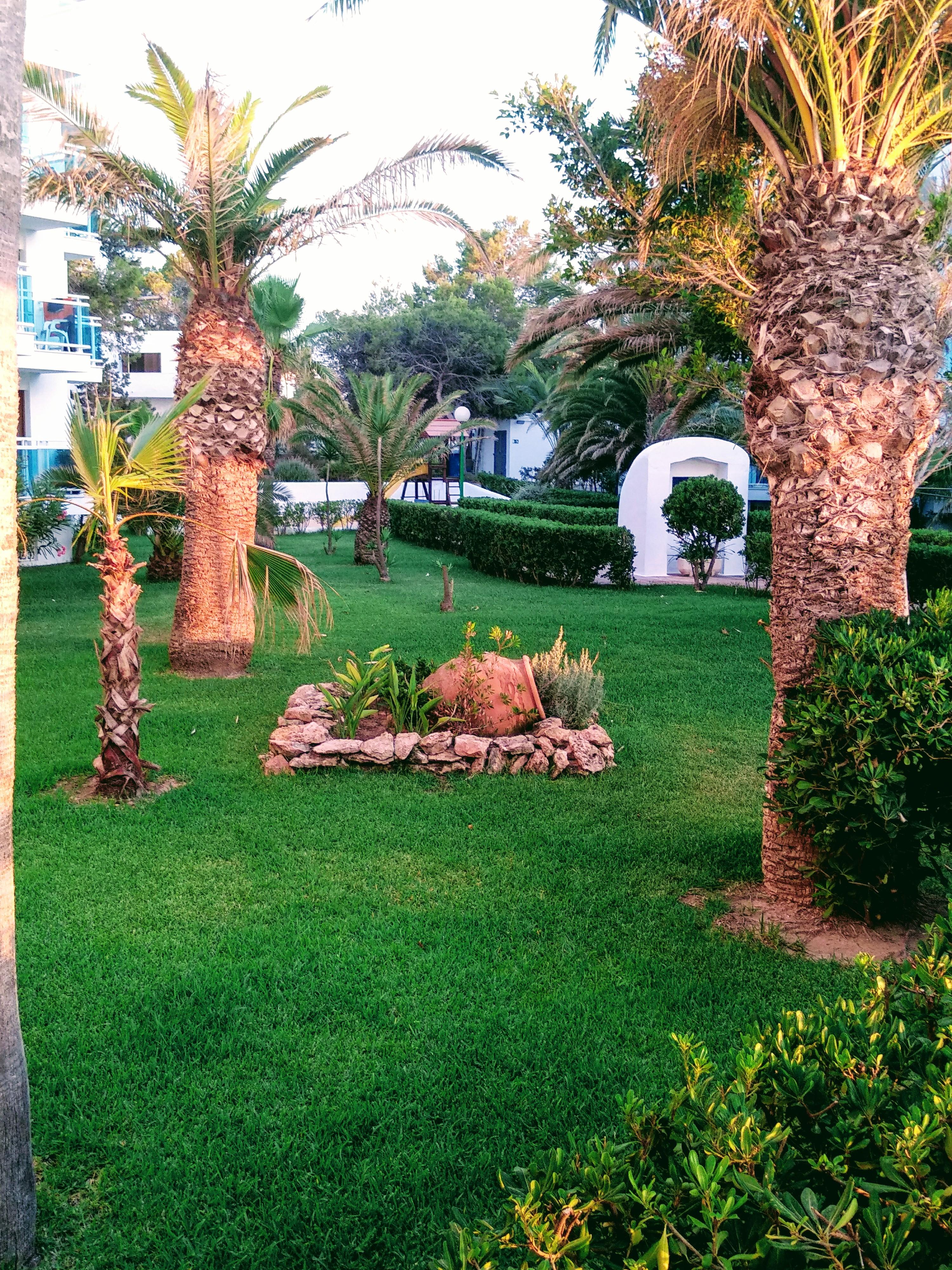 Aparthotel Nereida ซานอันโตนิโอ ภายนอก รูปภาพ